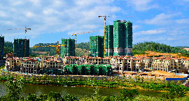 品种全、规模大、质量好、服务优